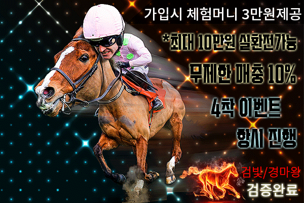 온라인  경마사이트